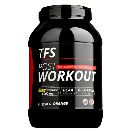 TFS Labs POST WORKOUT 2270g